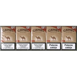  Camel Authentic